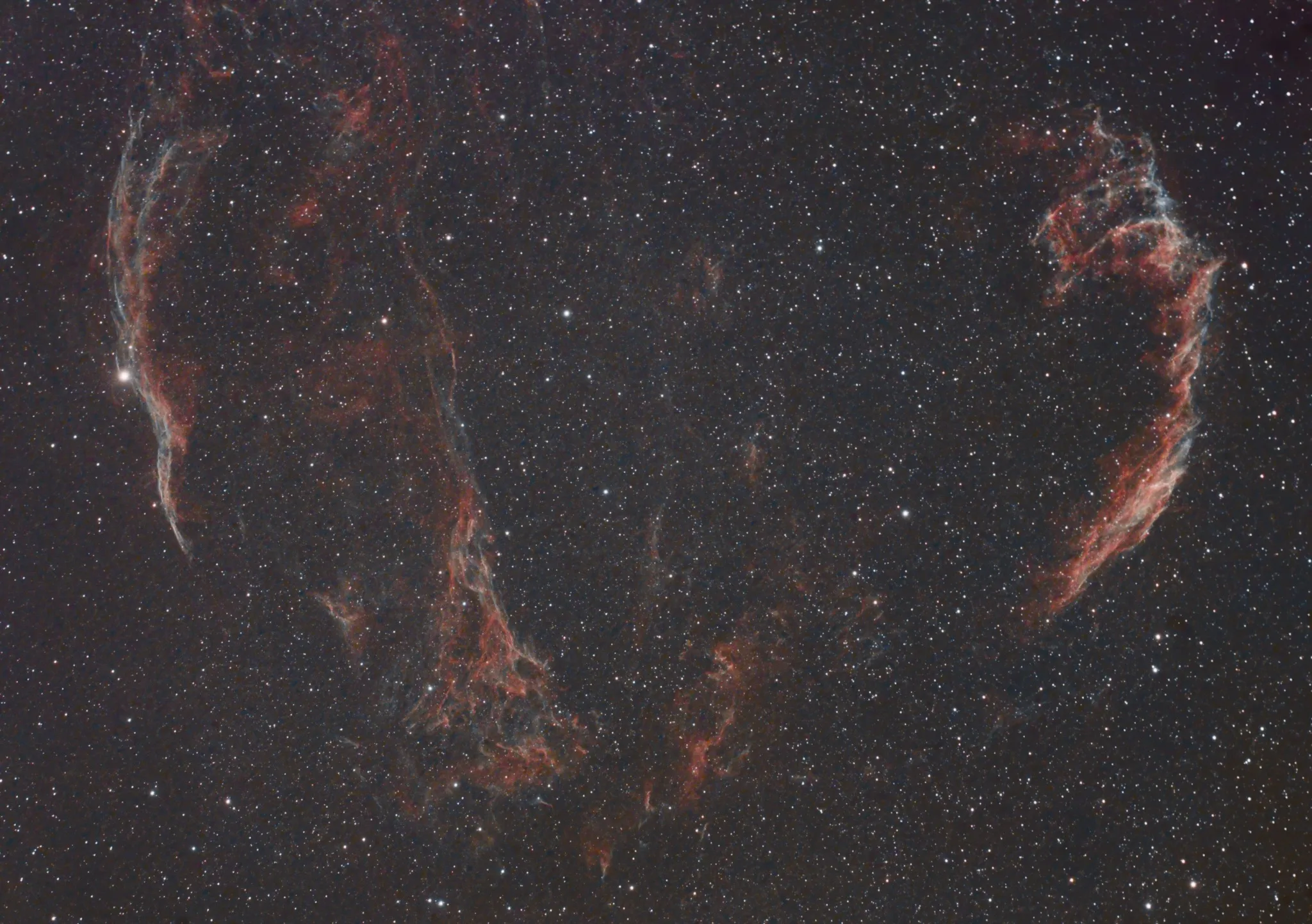 The Veil Nebula, curved filaments of red and blue supernova remnant gas threaded across a dense starfield.
